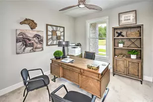 16884 Full Sun Aly, Land O Lakes, FL 34638 - Photo 5