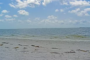 2 N Fernwood Ave, Clearwater, FL 33765 - Photo 13