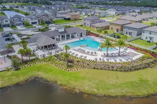 5452 Rainwood Meadows Dr, Apollo Beach, FL 33572 - Photo 51
