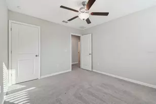 5452 Rainwood Meadows Dr, Apollo Beach, FL 33572 - Photo 41