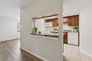 133 Sabal Ct, Oldsmar, FL 34677 - Photo 21