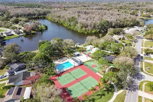 133 Sabal Ct, Oldsmar, FL 34677 - Photo 51