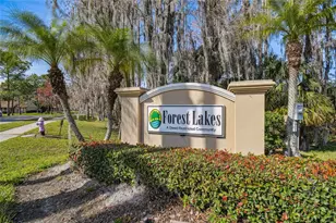 133 Sabal Ct, Oldsmar, FL 34677 - Photo 37