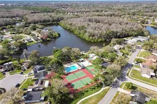 133 Sabal Ct, Oldsmar, FL 34677 - Photo 47