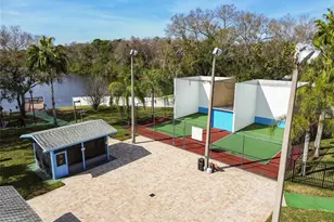 133 Sabal Ct, Oldsmar, FL 34677 - Photo 47
