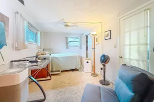 874 Joan St, Dunedin, FL 34698 - Photo 57