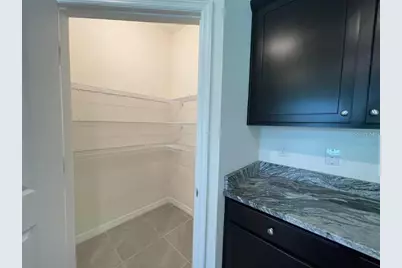 3616 Mossy Limb Court, Palmetto, FL 34221 - Photo 21