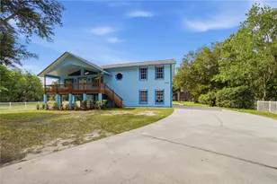 26347 Foamflower Blvd, Wesley Chapel, FL 33544 - Photo 3