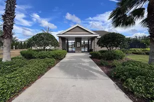 405 Serenity Mill Loop, Ruskin, FL 33570 - Photo 45