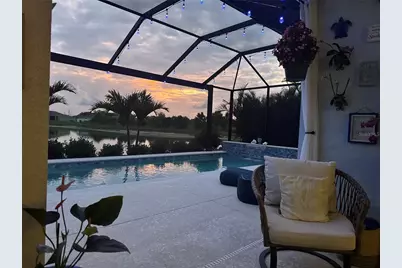 3921 Mossy Limb Court, Palmetto, FL 34221 - Photo 45