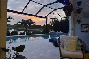 3921 Mossy Limb Ct, Palmetto, FL 34221 - Photo 45