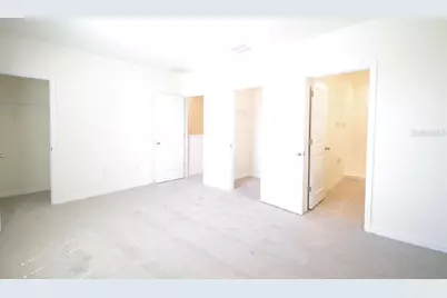 32312 Turtle Grace Loop, Wesley Chapel, FL 33545 - Photo 21