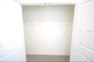 32312 Turtle Grace Loop, Wesley Chapel, FL 33545 - Photo 15