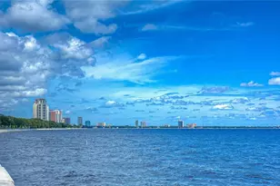 4907 Bayshore Blvd, Tampa, FL 33611 - Photo 41