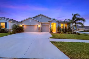 32337 Conchshell Sail St, Wesley Chapel, FL 33545 - Photo 1