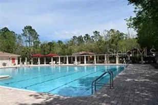1112 Hillhurst Dr, Wesley Chapel, FL 33543 - Photo 35