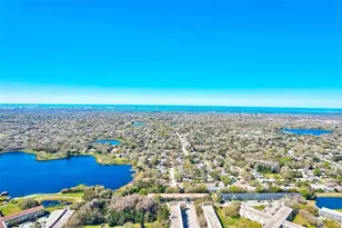 2229 Americus Blvd W, Clearwater, FL 33763 - Photo 37