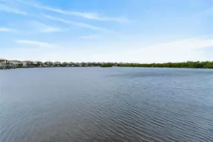 1108 Seagrape Dr, Ruskin, FL 33570 - Photo 61