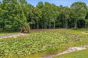 4941 Felecity Way, Palm Harbor, FL 34685 - Photo 61