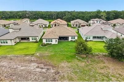14537 Swiss Bridge Drive, Lithia, FL 33547 - Photo 51