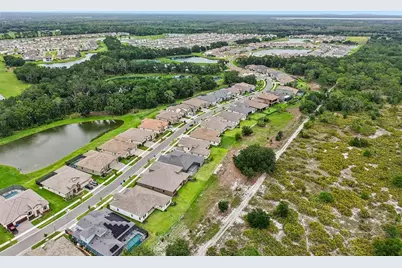 14537 Swiss Bridge Drive, Lithia, FL 33547 - Photo 59