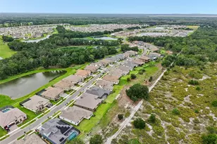 14537 Swiss Bridge Dr, Lithia, FL 33547 - Photo 59