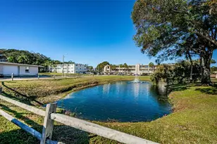 841 Patricia Ave, Dunedin, FL 34698 - Photo 35