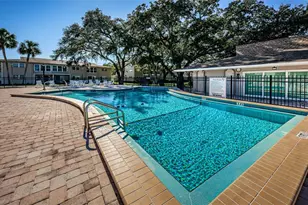 841 Patricia Ave, Dunedin, FL 34698 - Photo 37