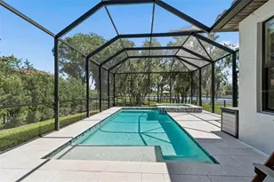 19165 Pease Pl, Lutz, FL 33558 - Photo 3
