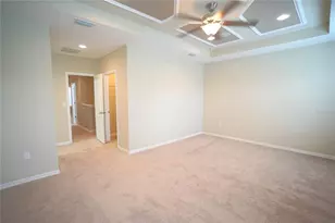 13107 Canopy Creek Dr, Tampa, FL 33625 - Photo 15