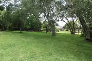 1400 Tarpon Woods Blvd, Palm Harbor, FL 34685 - Photo 3