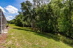 15911 Fishhawk View Dr, Lithia, FL 33547 - Photo 23