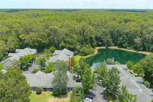 3638 Trafalgar Way, Palm Harbor, FL 34685 - Photo 33