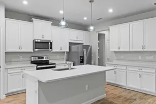 4212 Cloud Hopper Wy, Lutz, FL 33559 - Photo 9