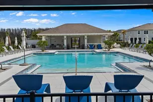 4212 Cloud Hopper Wy, Lutz, FL 33559 - Photo 43