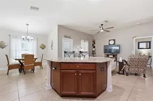 18436 Dajana Ave, Land O Lakes, FL 34638 - Photo 13