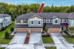 17718 Nectar Flume Dr, Land O Lakes, FL 34638 - Photo 43
