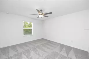 17718 Nectar Flume Dr, Land O Lakes, FL 34638 - Photo 27