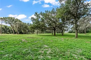 10660 E Bushnell Rd, Floral City, FL 34436 - Photo 47