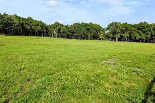 10660 E Bushnell Rd, Floral City, FL 34436 - Photo 9