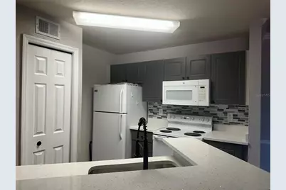 4209 Woodstorks Walk Way #1205, Lutz, FL 33558 - Photo 5