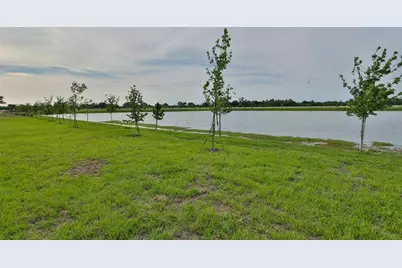 233 Mangrove Shade Circle, Apollo Beach, FL 33572 - Photo 35
