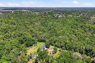 911 Marjorie Ave, Brandon, FL 33511 - Photo 39