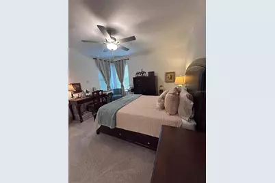 16919 Forge Surf Street, Land O Lakes, FL 34638 - Photo 21