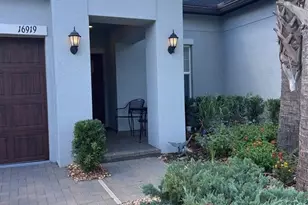 16919 Forge Surf St, Land O Lakes, FL 34638 - Photo 3