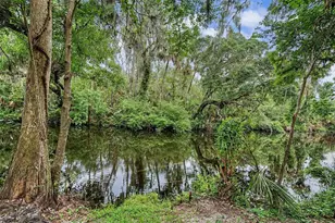 5116 Abisher Wood Ln, Brandon, FL 33511 - Photo 59