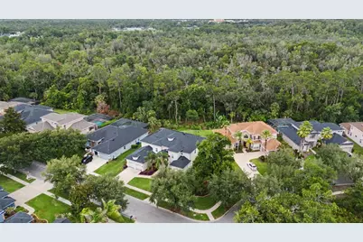 5116 Abisher Wood Lane, Brandon, FL 33511 - Photo 67