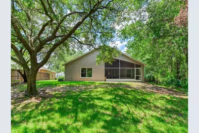 12502 Blazing Star Drive, Tampa, FL 33626 - Photo 29