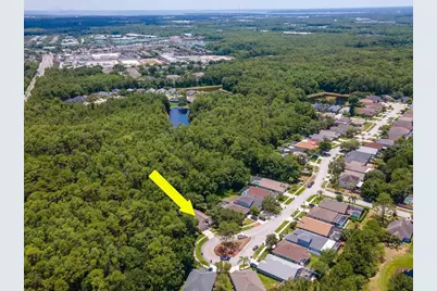 12502 Blazing Star Drive, Tampa, FL 33626 - Photo 33