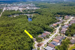 12502 Blazing Star Dr, Tampa, FL 33626 - Photo 33